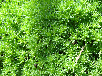 Similar image 2340857