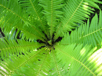 Similar image 2340860