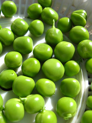 Similar image 2340946