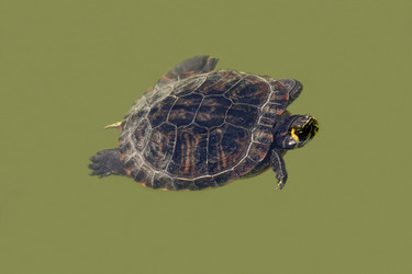 Similar image 2341034