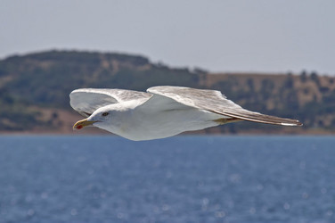 Similar image 2341035