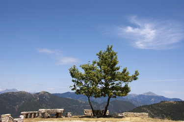 Similar image 2341041