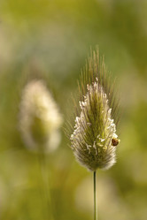 Similar image 2341047