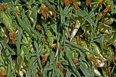 Similar image 2341219