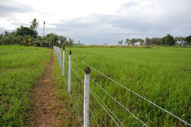 Similar image 2341359