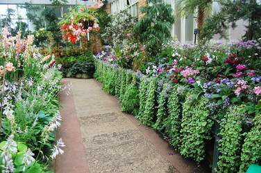 Similar image 2341457