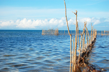 Similar image 2341600