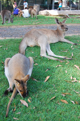 Similar image 2341690