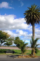 Similar image 2341700