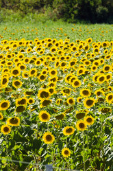 Similar image 2341845