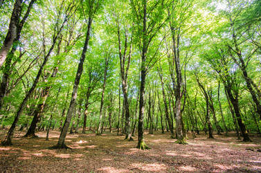 Similar image 2342136