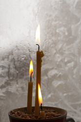 Similar image 2342423