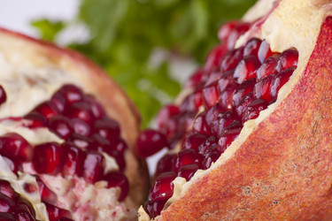 Similar image 2342443