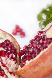 Similar image 2342444