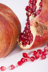 Similar image 2342451