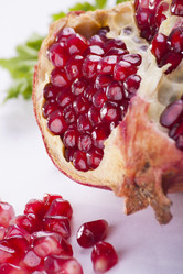 Similar image 2342670