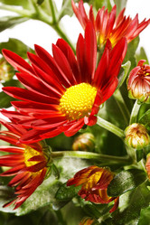 Similar image 2343233