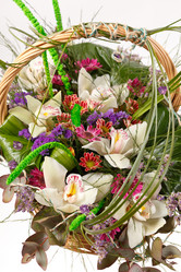 Similar image 2343237