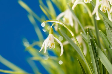 Similar image 2343249