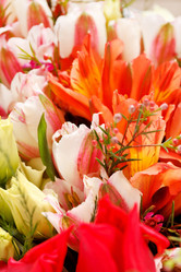 Similar image 2343252