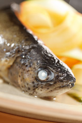 Similar image 2343346