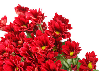 Similar image 2343471