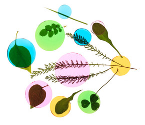 Similar image 2343472