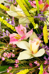 Similar image 2343495