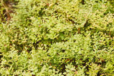 Similar image 2343652