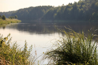 Similar image 2343654