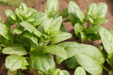 Similar image 2343684