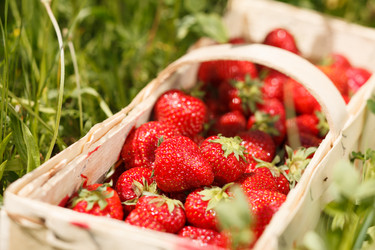 Similar image 2343707