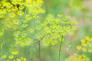 Similar image 2343726