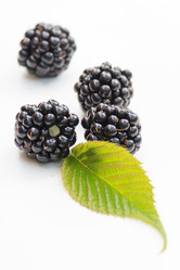 Similar image 2343731