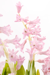 Similar image 2343743