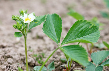 Similar image 2343752