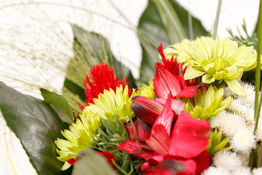 Similar image 2343765