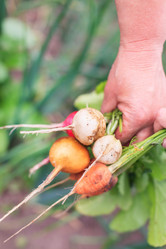 Similar image 2343793