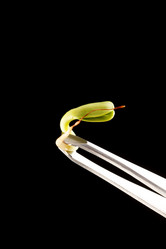 Similar image 2343794