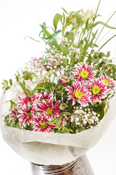 Similar image 2343815