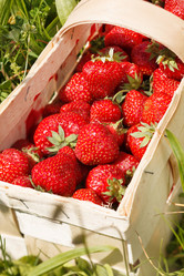 Similar image 2343848