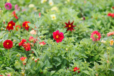 Similar image 2343890