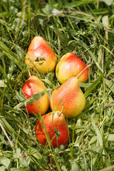 Similar image 2343923