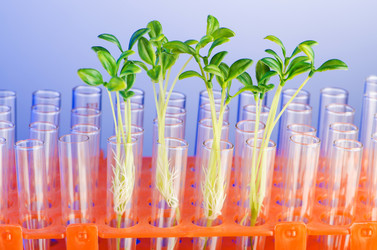 Similar image 2344113