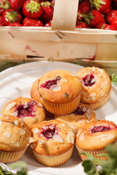 Similar image 2344251