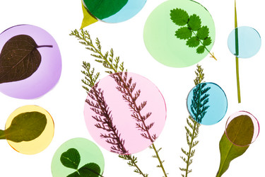 Similar image 2344280