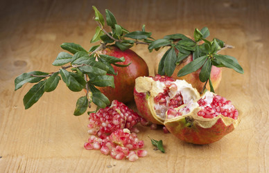 Similar image 2344386