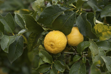 Similar image 2344483