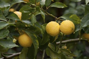 Similar image 2344485