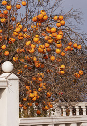 Similar image 2344649